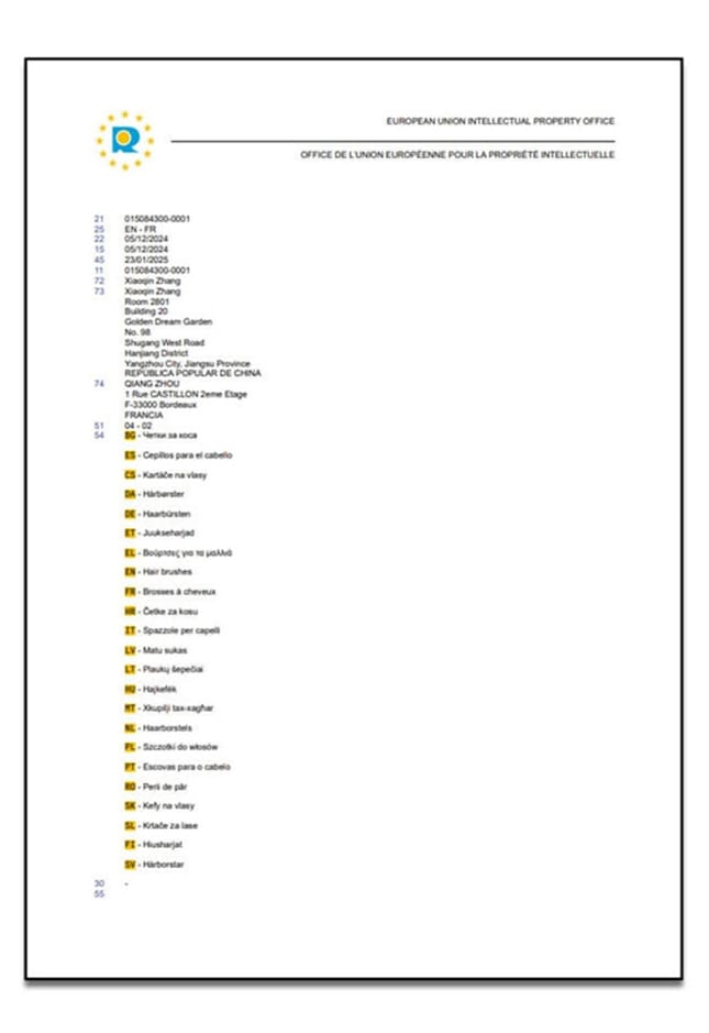 EUIPO Design Certificate